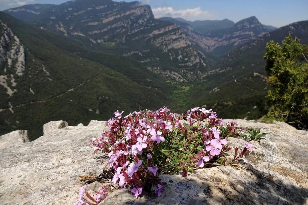 Pont De Valenti Mountain Retreat Leilighet Girona Eksteriør bilde