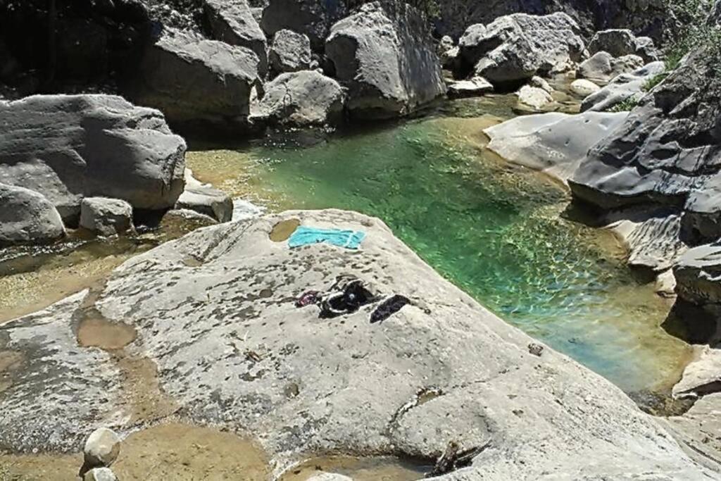 Pont De Valenti Mountain Retreat Leilighet Girona Eksteriør bilde