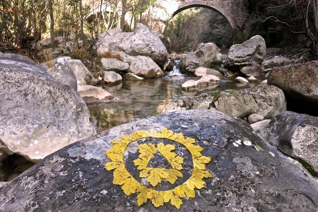 Pont De Valenti Mountain Retreat Leilighet Girona Eksteriør bilde