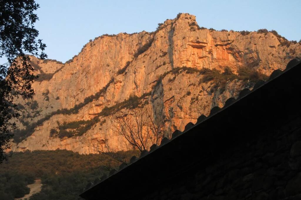 Pont De Valenti Mountain Retreat Leilighet Girona Eksteriør bilde